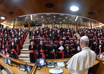 El Papa: Tomé mi nombre por León XIII