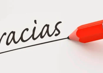 2000 visitas en nuestra web en sus dos semanas de vida