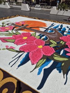 Infiorata Storica Roma 2