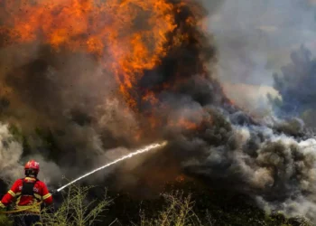 Emergencia por la ola de calor: Víctimas e incendios en gran parte de Europa