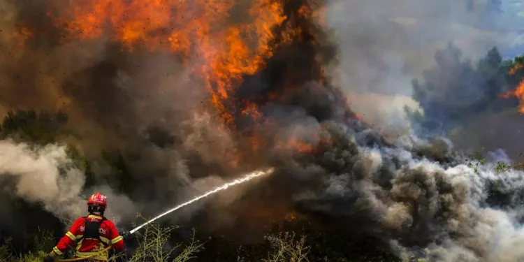 Emergencia por la ola de calor: Víctimas e incendios en gran parte de Europa