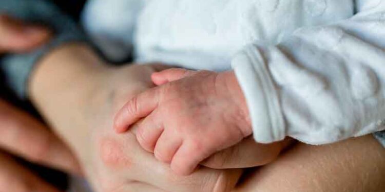 Curso de formación de agentes de Pastoral de Familia y Vida