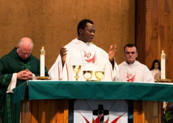 Fuerzas de seguridad nigerianas rescatan a un sacerdote secuestrado el pasado 1 de junio