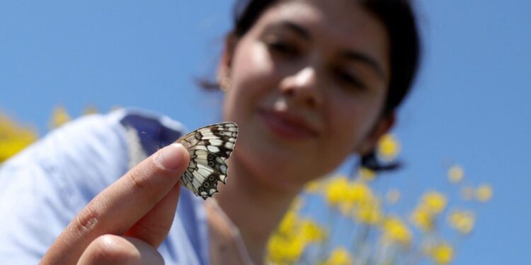 1º de septiembre: Jornada de la Creación en el signo del ecumenismo