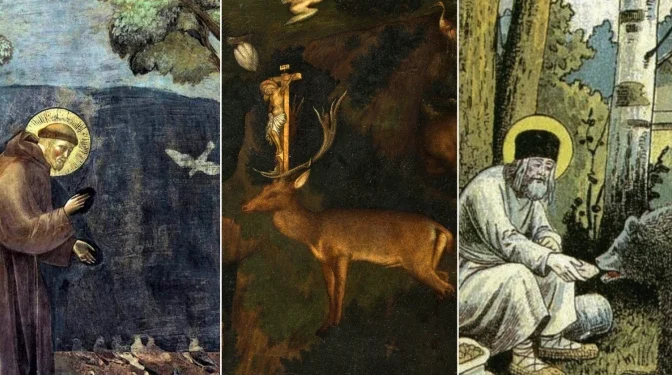 11 santos que compartieron un historia y fe con los animales