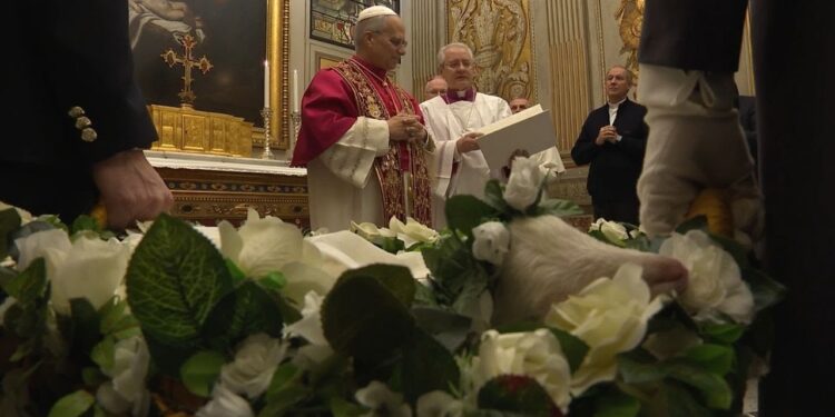 Presentan al Papa los corderos que serán bendecidos y cuya lana se utilizará para confeccionar los palios 1 Presentan al Papa los corderos que serán bendecidos y cuya lana se utilizará para confeccionar los palios